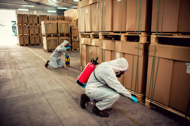Pest Control Cost in Manorhaven, NY