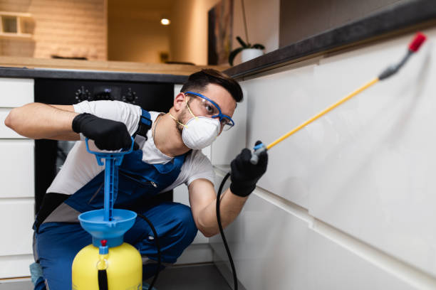 Best Mosquito Control Services  in Manorhaven, NY