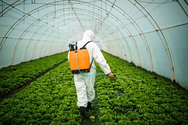Best Mosquito Control Services  in Manorhaven, NY