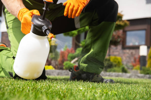 Best Residential Pest Control  in Manorhaven, NY