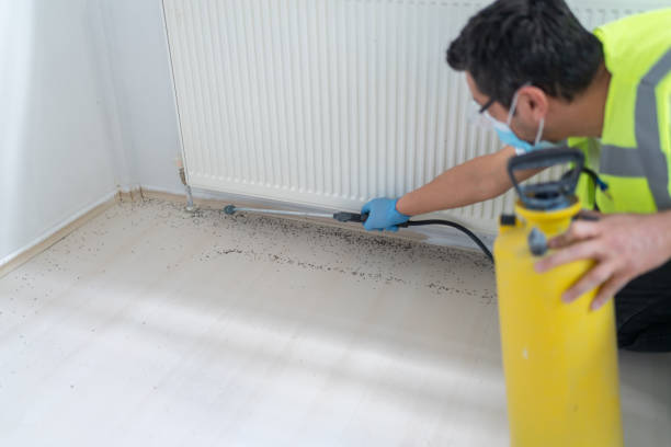 Best Termite Control Services  in Manorhaven, NY